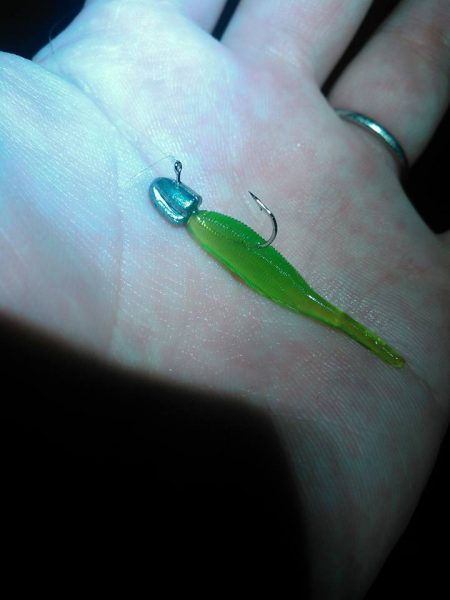 メバルアジガシラ